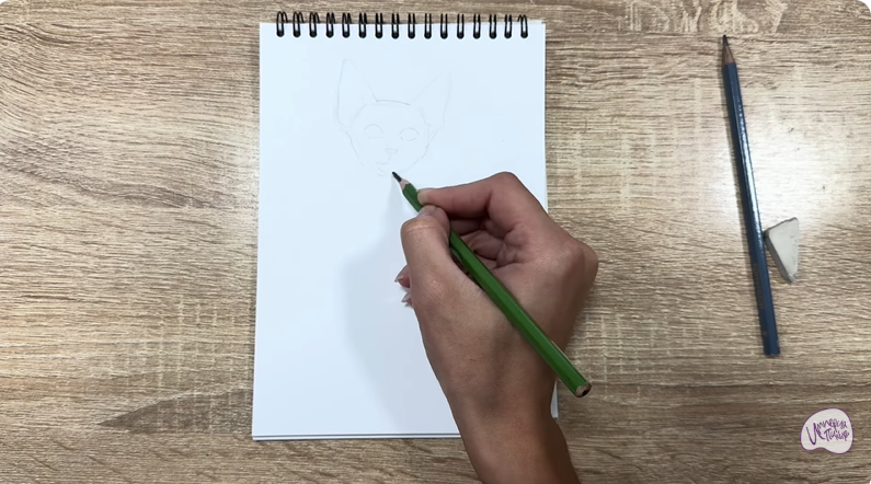 Рисуем Девон Рекс