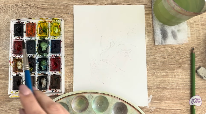 Рисуем Ветка караганы