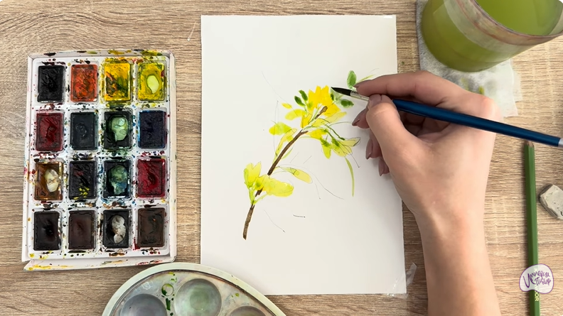 Рисуем Ветка караганы