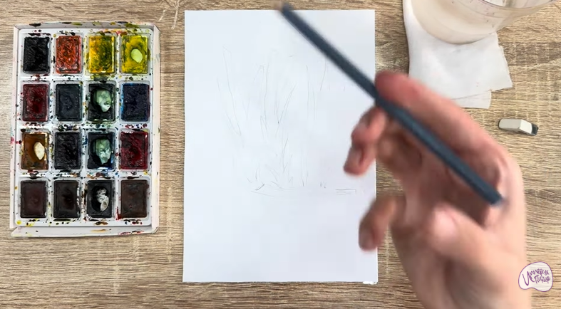 Рисуем Аир болотный