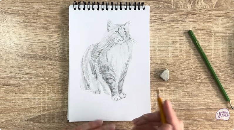 Рисуем Норвежский лесной кот