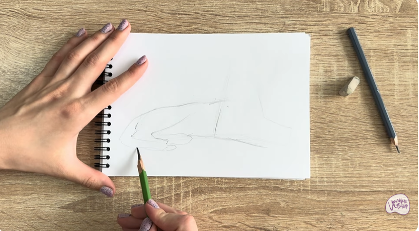 Рисуем Ориентальная кошка