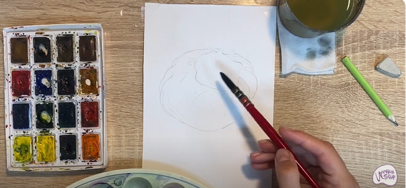 Рисуем Саркосома шаровидная