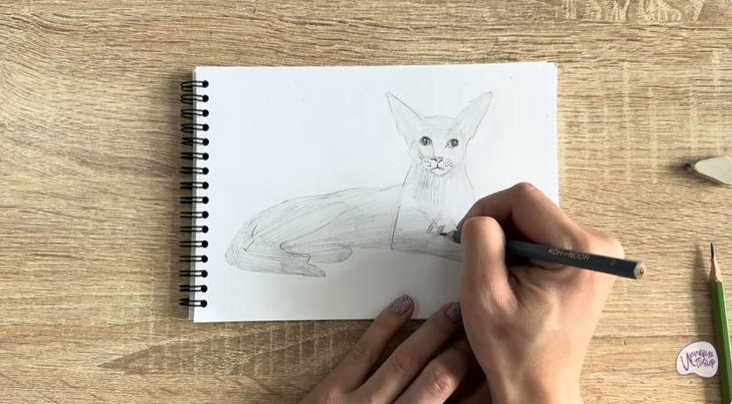 Рисуем Ориентальная кошка