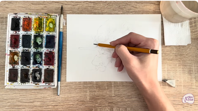 Рисуем Алтей лекарственный