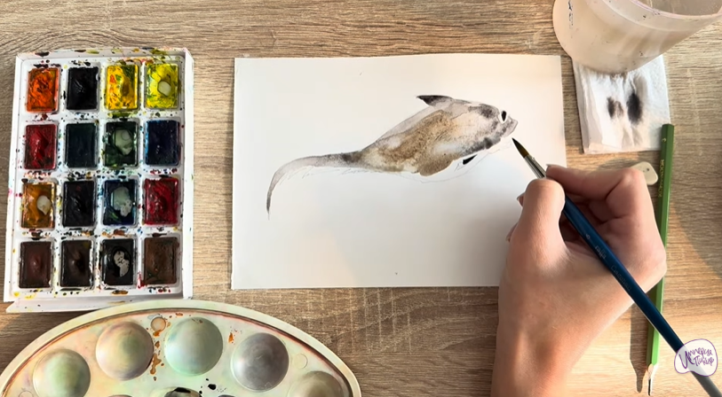 Рисуем Макрурус