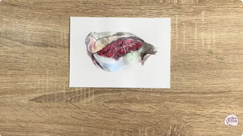 Рисуем Жабры рыбы