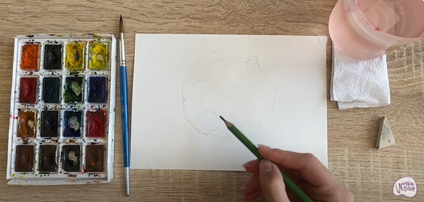 Рисуем Аннона сетчатая