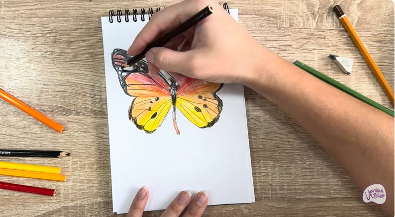 Рисуем Малинница обыкновенная