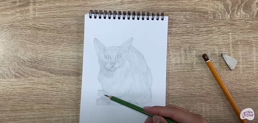 Рисуем Балинезийская кошка