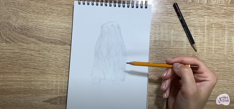 Рисуем Суслик