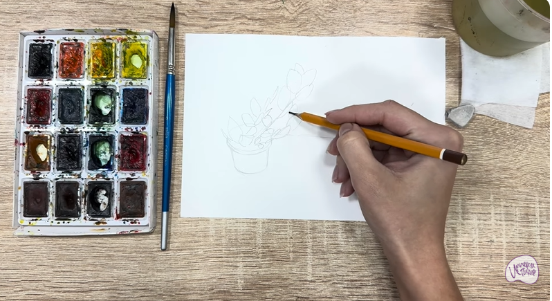 Рисуем Пеллиония в горшке