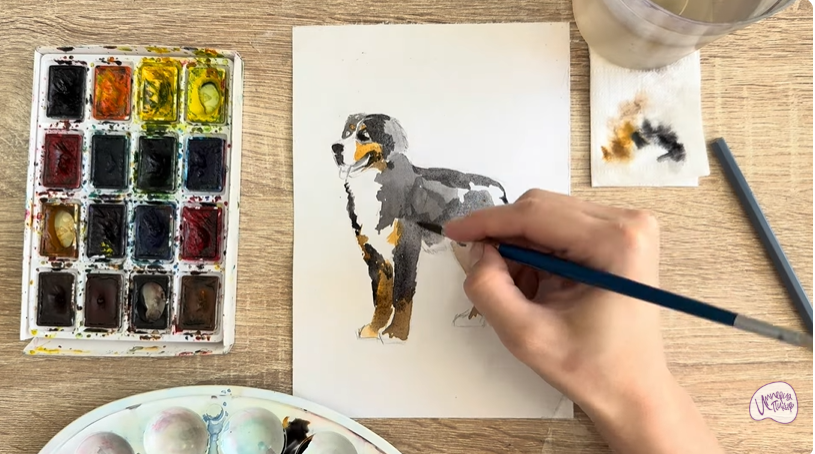 Рисуем Собака породы Бернский зенненхунд