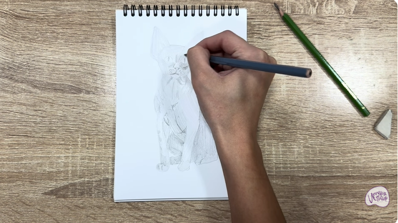 Рисуем Девон Рекс