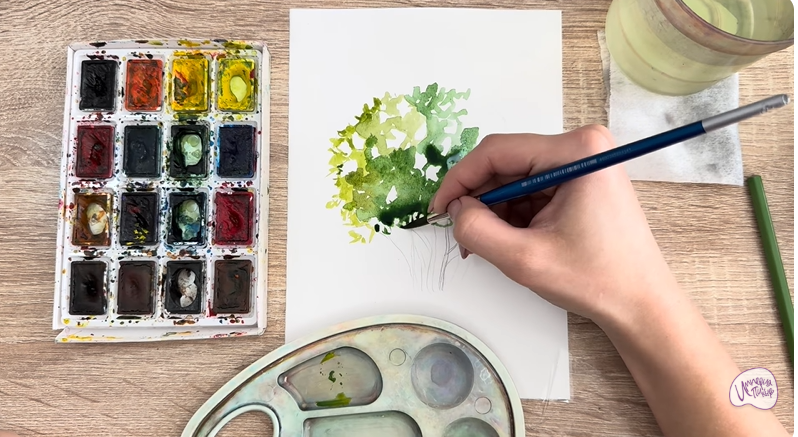 Рисуем Саженец бирючины