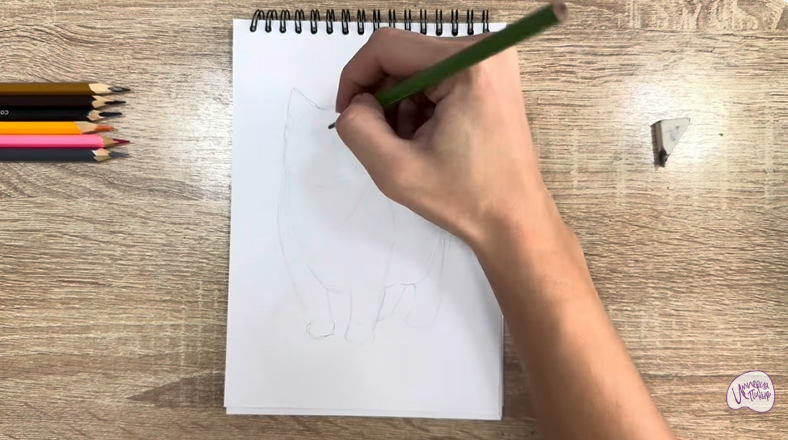 Рисуем Кошка породы "Манчкин"