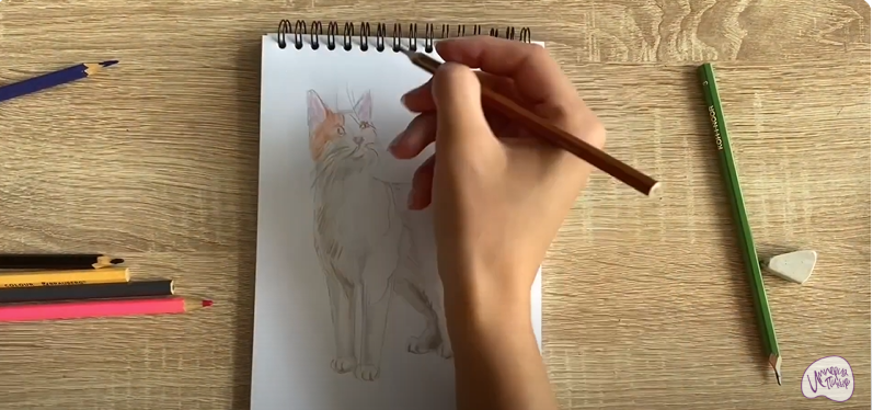 Рисуем Кот породы "японский бобтейл"