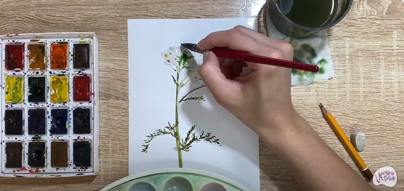 Рисуем Тысячелистник