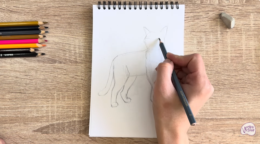 Рисуем Кошка Бурмилла