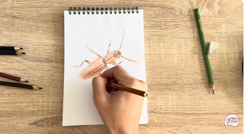 Рисуем Мукоед