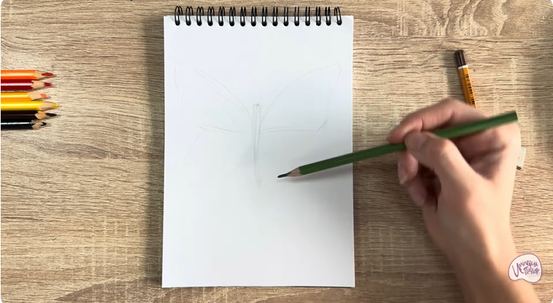 Рисуем Малинница обыкновенная