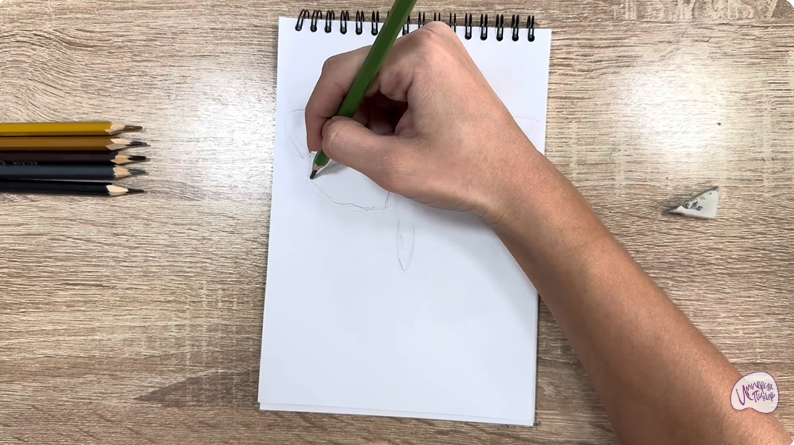 Рисуем Огнёвка зерновая