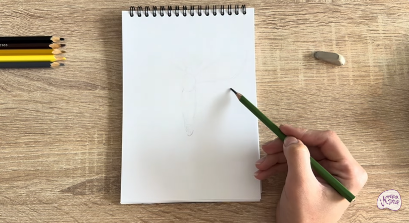 Рисуем Древесница въедливая