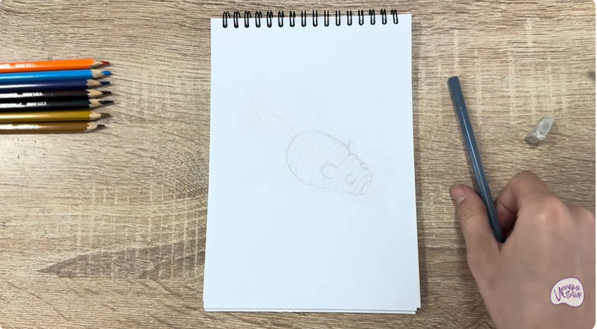 Рисуем Игрушка для кошки