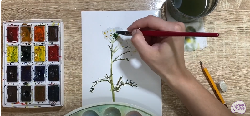 Рисуем Тысячелистник