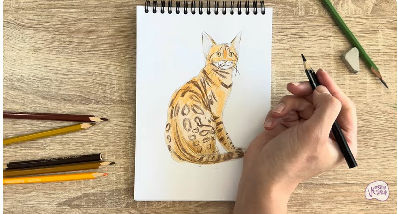 Рисуем Кошка Тойгер