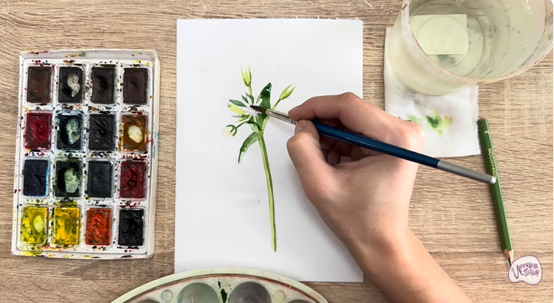 Рисуем Ясколка длинноволосая