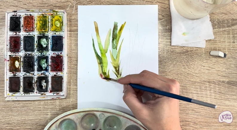 Рисуем Аир болотный