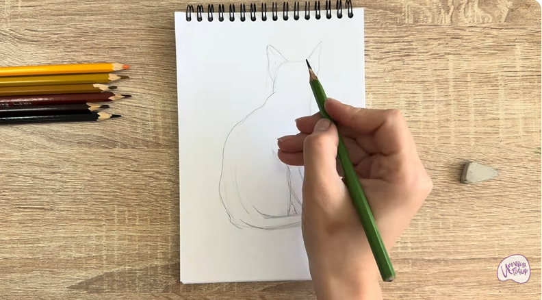 Рисуем Кошка Тойгер