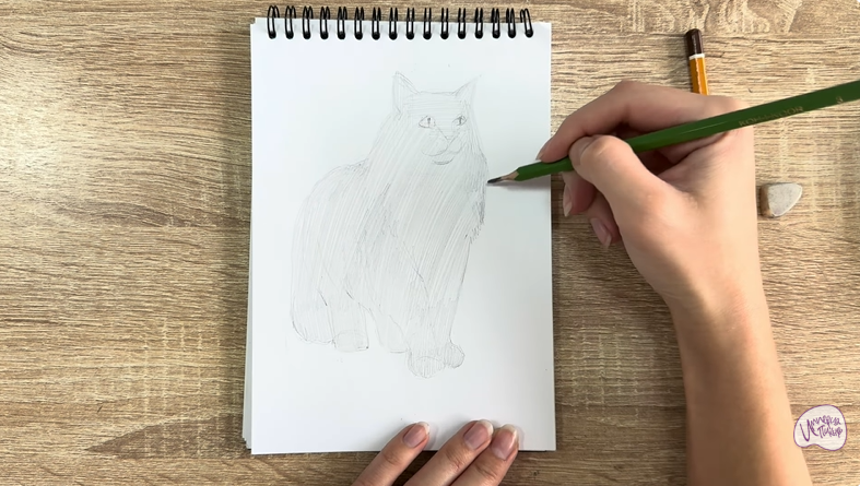 Рисуем Норвежский лесной кот