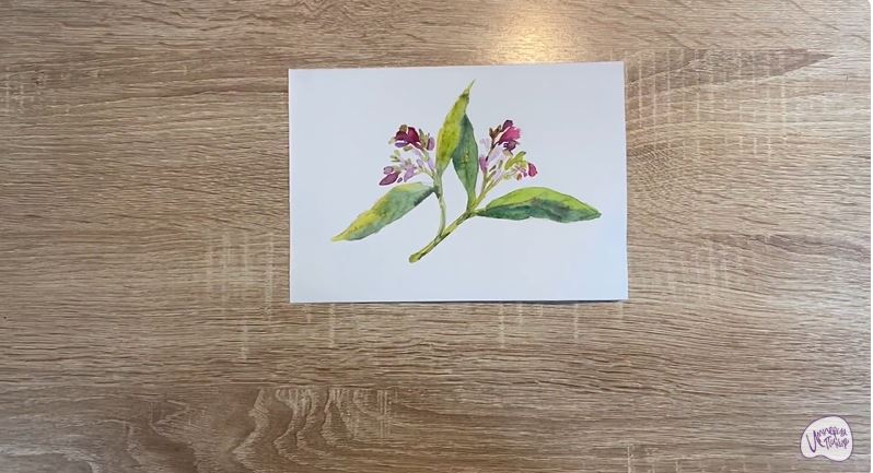 Рисуем Окопник