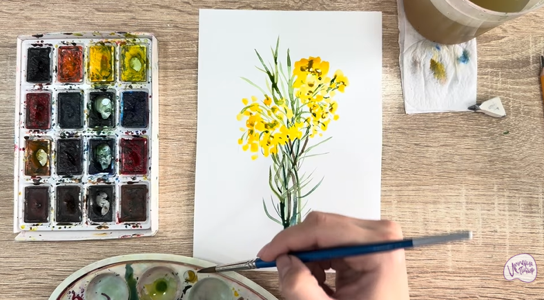 Рисуем Бессмертник