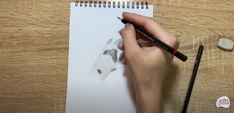 Рисуем Лапа собаки