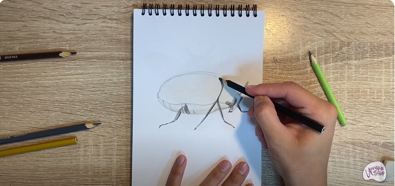 Рисуем Кожеед