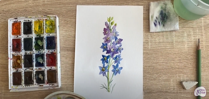 Рисуем Живокость
