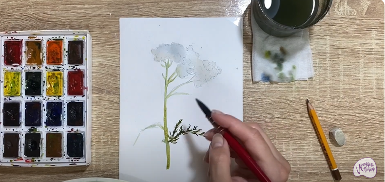 Рисуем Тысячелистник