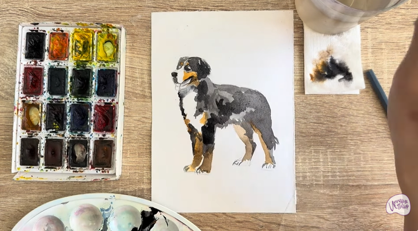 Рисуем Собака породы Бернский зенненхунд