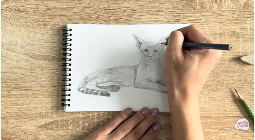 Рисуем Ориентальная кошка