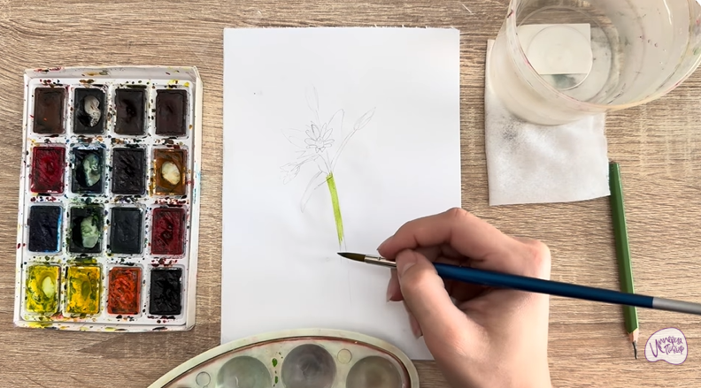 Рисуем Ясколка длинноволосая