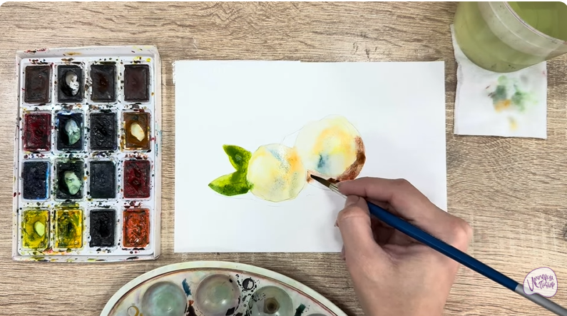 Рисуем Макадамия