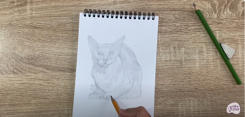 Рисуем Балинезийская кошка