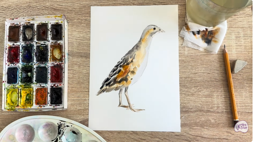 Рисуем Коростель