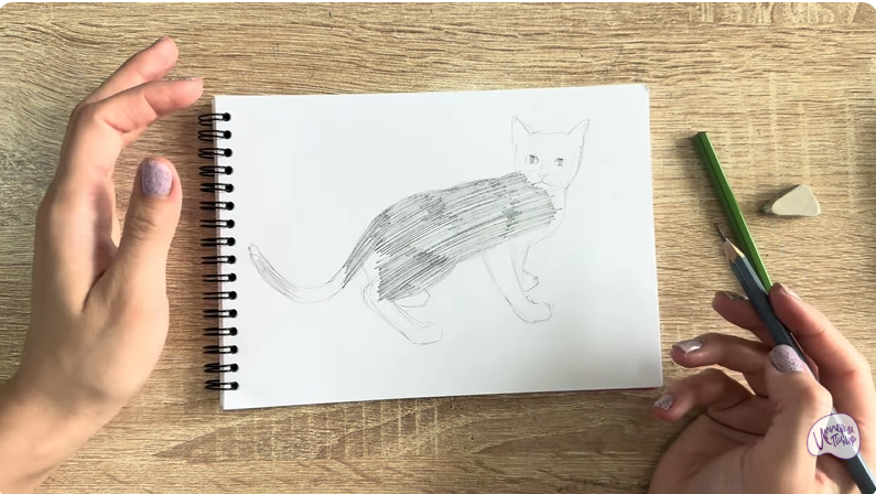 Рисуем Бомбейская кошка