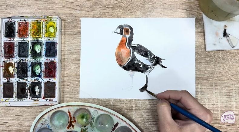 Рисуем Краснозобая казарка