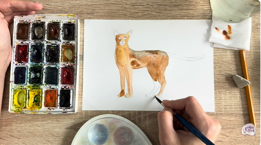 Рисуем Кошка "Чаузи"