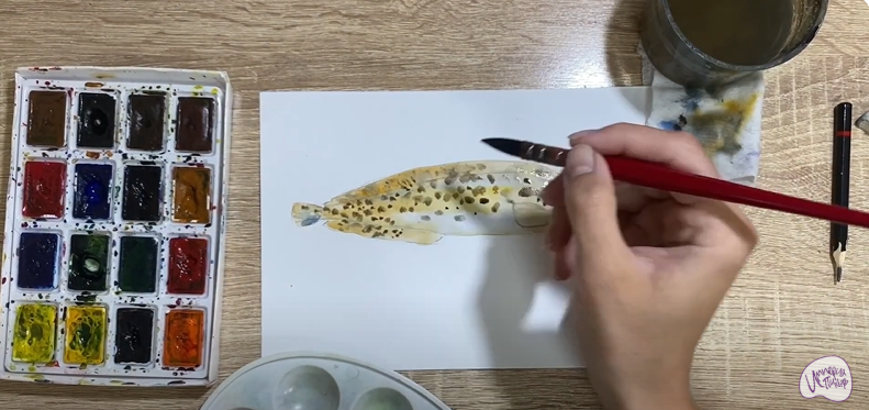 Рисуем Зубатка пёстрая